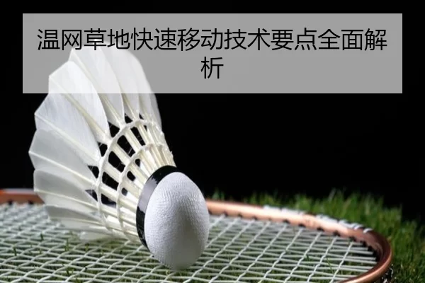 img_1780957679641_428_1_701.jpg
